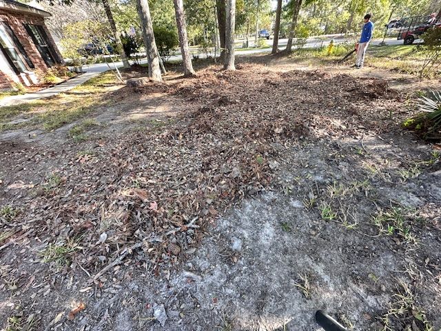 A picture of a yard with trees and leaves in Mandeville, LA.